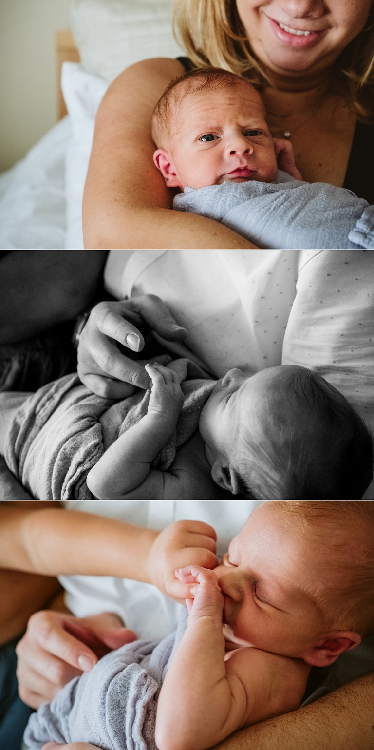 Krepper Family Blog Post 2