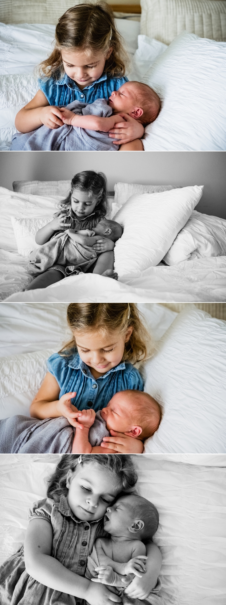 Krepper Family Blog Post 3