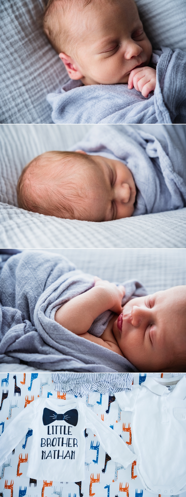 Krepper Family Blog Post 6